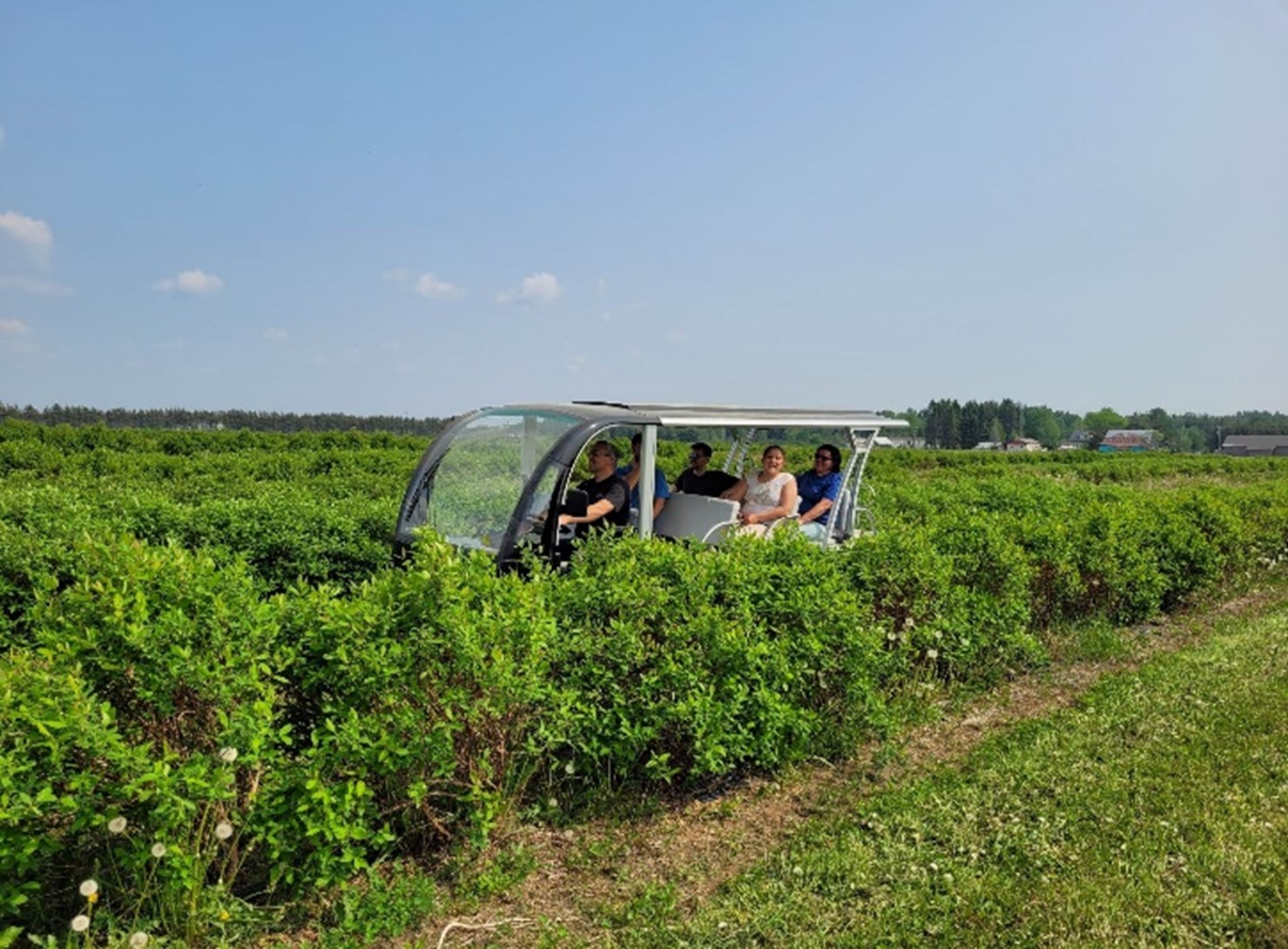 Five people in a vehicle adapted to tour a haskap berry field