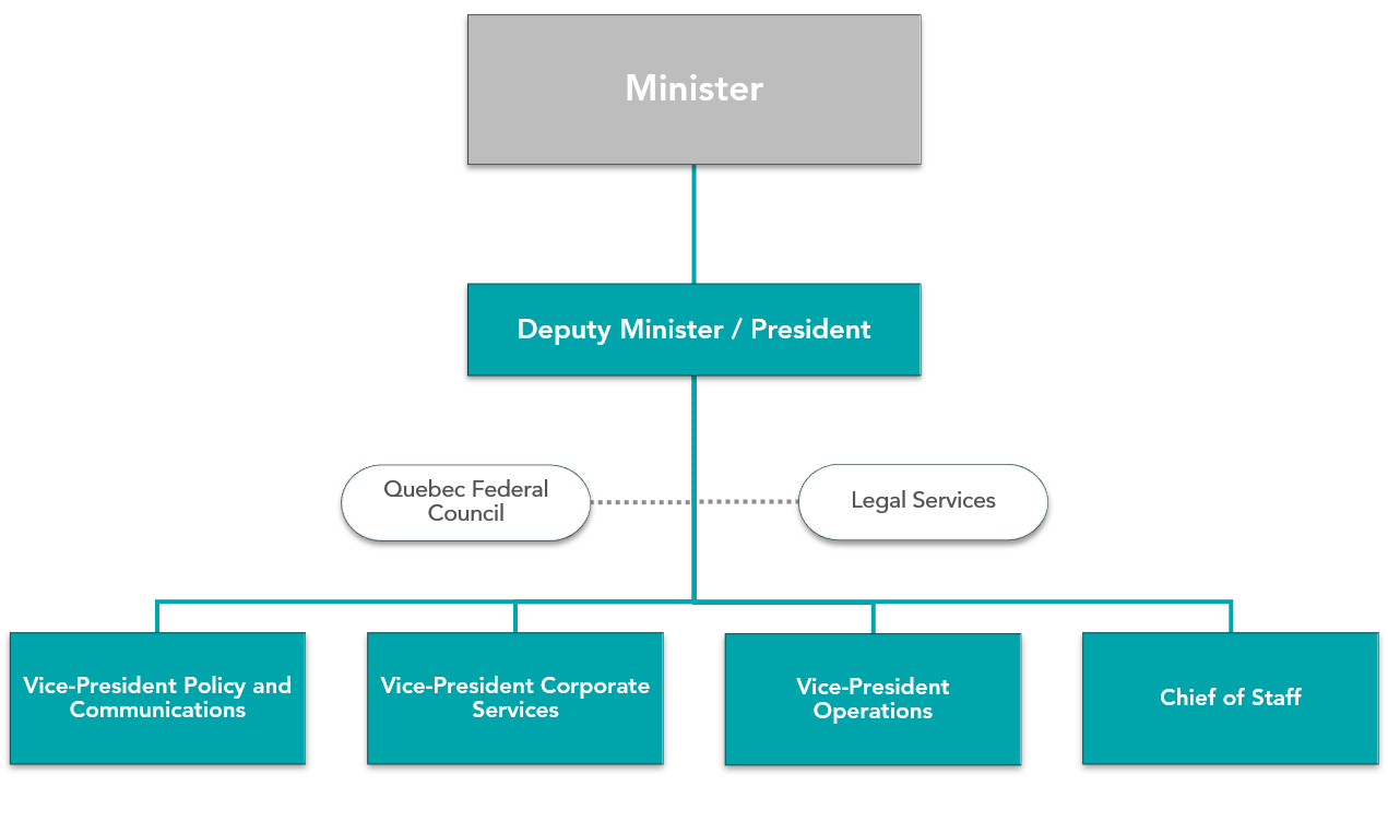 Organizational chart presenting the organizational structure of CED (simplified version).
