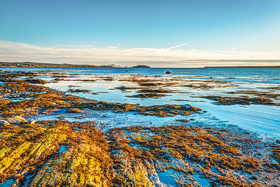 The shoreline of the St. Lawrence River at low tide on a beautiful sunny day.