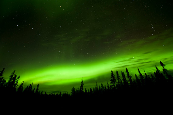 The Northern Lights floating above a forest scene.