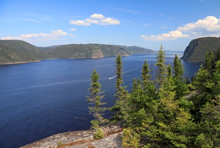  Three kayaks and an outboard criss-cross the Saguenay fjord during the summer. In the foreground, there are conifers on a rock massif.